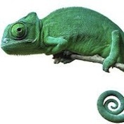 Caméléon